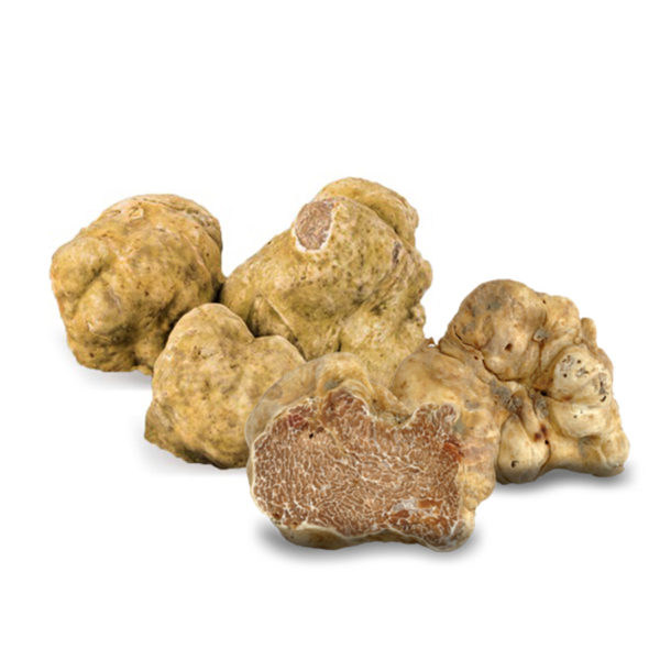 white truffle