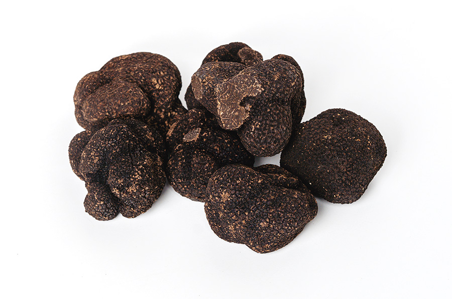 Fresh truffles